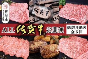 【偶数月発送 全6回定期便】ALL佐賀牛定期便【サーロインステーキ 赤身焼き肉 ハンバーグ カルビ焼肉 100%ハンバーグ ロースステーキ バラエティ豊か】(H118112)