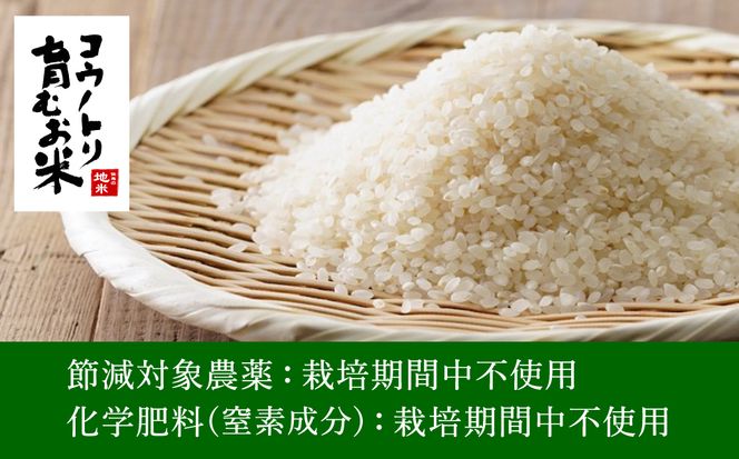 令和7年産 無農薬 玄米 20kg コウノトリ育むお米 但馬産 こしひかり 兵庫県産 (5kg×4袋) 無農薬 お米 20キロ 玄米 コウノトリ米 コシヒカリ 農薬不使用 特別栽培米 予約 コメ こめ ご飯 ライス 無農薬米