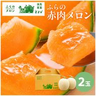 【2026年6月～発送】富良野 赤肉 メロン 2玉入 計4kg前後 大玉 (相馬農園) メロン フルーツ 果物 北海道