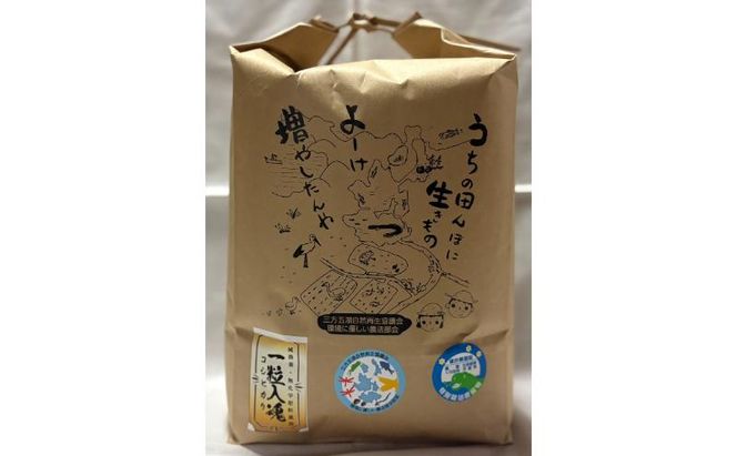 定期便 3回 栽培期間中 減農薬 コシヒカリ 白米 2kg 3ヶ月 定期 お届け