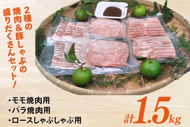 【宮崎ブランドポーク】へべす豚 焼肉 (モモ・バラ) & 豚しゃぶ (ロース) 各500g 計1.5kg [JAみやざき 日向肉豚部会 宮崎県 日向市 452061312] 肉 豚肉 モモ バラ ロース BBQ しゃぶしゃぶ