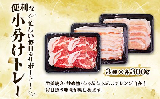 【6回定期便】いもこ豚 人気部位3種 食べ比べセット 900g（300g×3パック）×6回 総合計5.4kg