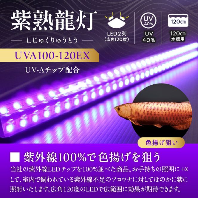 紫外線100%LEDで紅龍・金龍の色彩を引出す水中ライト|UVA100-120EX［172C22］紅龍 金龍 ナイトメロー 水中 アロワナ 水槽ライト テンニングライト 紫外線 100% LED ライト 照明 水中照明 光 綺麗 強化ガラス 吸盤 1年保証 簡単 設置 でんらい インテリア 雑貨 愛知県 小牧市 送料無料