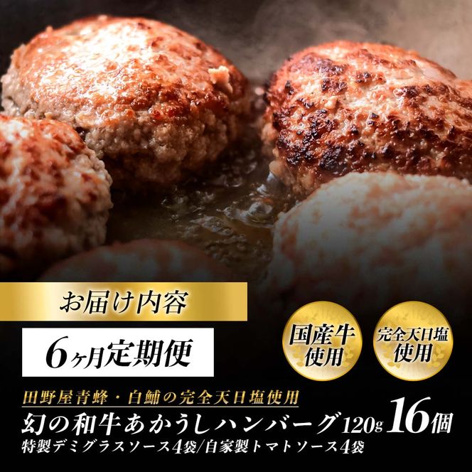 幻のあかうし和牛ハンバーグ 16個入り 6ヶ月定期便 1個120g 特製デミソース トマトソース付き 田野屋青蜂 白鯆 完全天日塩練り込み 肉 お肉 国産牛 おかず おいしい お取り寄せ 冷凍 配送 高知県 田野町