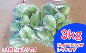 北海道 富良野市 摘果メロン 3kg ≪1kg×3袋≫ お漬物用 2026年 春夏発送 (中山農園)