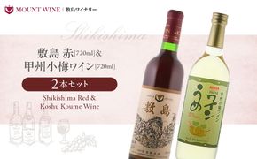 【敷島 赤 & 甲州小梅ワイン】2本セット 　F-2