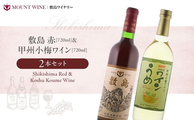 【敷島 赤 & 甲州小梅ワイン】2本セット 　F-2