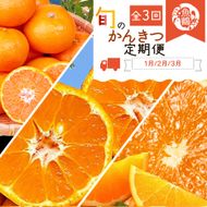 〈定期便〉【1・2・3月 全3回】紀州和歌山産旬の柑橘セット(みかん・ポンカン・清見)　※北海道・沖縄・離島への配送不可