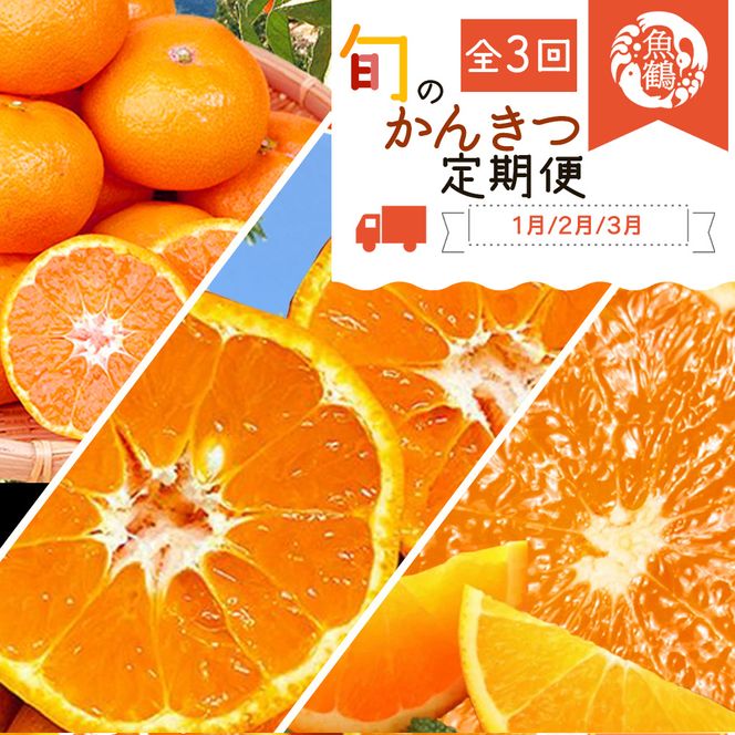 〈定期便〉【1・2・3月 全3回】紀州和歌山産旬の柑橘セット(みかん・ポンカン・清見)　※北海道・沖縄・離島への配送不可