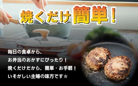 《数量限定》総重量2.7kg 佐賀牛ハンバーグ 【120g×23個】 計2760g