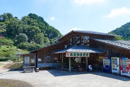 脊振ジビエ イノシシ肉スライスセット ロース＆バラ 約600g 【脊振 ジビエ イノシシ肉 ロース バラ】(H044123)