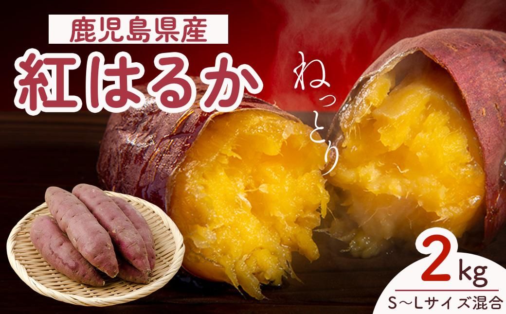 [先行予約]訳アリ!紅蜜芋 紅はるか 2kg 464686