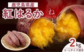 【先行予約】訳アリ！紅蜜芋　紅はるか　2kg 464686_YF001