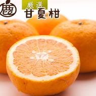 ＜4月より発送＞ 厳選 甘夏柑3kg+90g（傷み補償分）初夏のみかん・旬の果物 有田産 光センサー食べ頃出荷 	CZ153