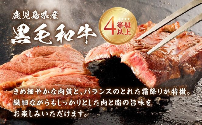 ＜容量選べる！＞鹿児島県産 黒毛和牛ステーキ　K151-010