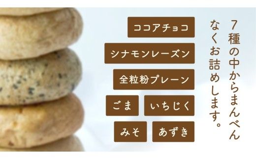 【 訳あり 】 おまかせ ベーグル 14個セット ロス わけあり ワケアリ 訳アリ フードロス 朝食 モーニング スイーツ 全粒粉 パン 詰め合わせ 食べ比べ 冷凍 
