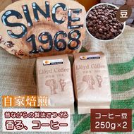ロイドコーヒースペシャルブレンド（豆）500g（250g×2個）自家焙煎コーヒー