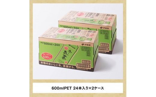 おーいお茶　緑茶600ml×48本 PET【飲料 飲み物 ソフトドリンク お茶 ペットボトル 備蓄 送料無料】宮崎県 川南町 [D07352]