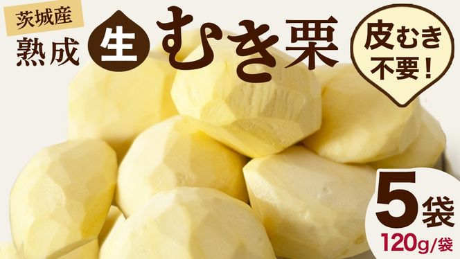 y錧}szy g_  nI z n ނI 5 ( 120g × 5 ) ߘa7NY n I  N I͂  Mtg ʕ t[c ʌ { H ~   [CX003ci]