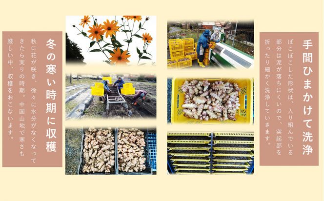 紫菊芋パウダー 120g 2袋セット ぬかっち 島根県産 イヌリン 国産 無添加 きくいも 粉末 322032_BD045