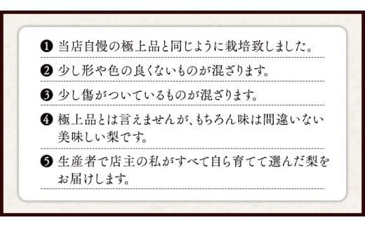今一番人気 『 あきづき 』 5kg ( 自家用 ) 2026年産 先行予約 フルーツ 果物 国産 日本産 梨 ナシ なし 和梨 [DJ003ci]