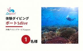 チケット ボート体験 ダイビング 1名 沖縄サンゴの村【恩納村ラグーン】