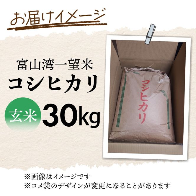 新米 富山湾一望米　コシヒカリ 玄米 【容量30kg】【2025年10月より順次発送】 