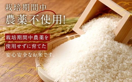 【3カ月定期便】幸せな田んぼのある町のお米｢幸田町｣産 あいちのかおり 白米 5kg ◇ ｜ お米 米 白米 精米 ご飯 ごはん 定期便
