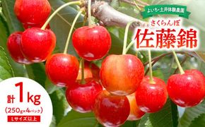【先行予約：2026年6月下旬以降発送】さくらんぼ【佐藤錦】1Kg_Y127-0014