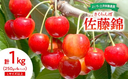 【先行予約：2026年6月下旬以降発送】さくらんぼ【佐藤錦】1Kg_Y127-0014