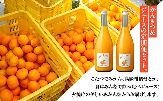 夕焼け定期便　12月温州みかん(生果)5kg　3月せとか(生果)3kg　7月Premiumみかんジュース、Premiaum清見ジュース、720ml各1本 IKTAT025