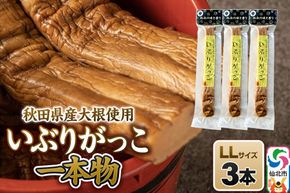 いぶりがっこ 一本物 LLサイズ 3本セット 株式会社がっこ [ご当地グルメ お取り寄せ 名産 漬物 漬け物 沢庵 たくあん つけもの 秋田 東北 土産]|02_gkk-080301
