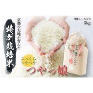 令和7年産 特別栽培米つやっ娘米 5kg 丹後こしひかり お米 米 ご飯 コシヒカリ お米 つやっ娘 丹後 宮津 京都 海の京都 特別栽培米 グルメ  myz06 myz11 myz19