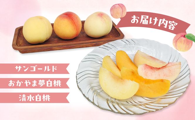 桃 2026年 数量限定 桃3種食べ比べセット 3種×各2玉 計1.8kg以上 岡山県 赤磐市産