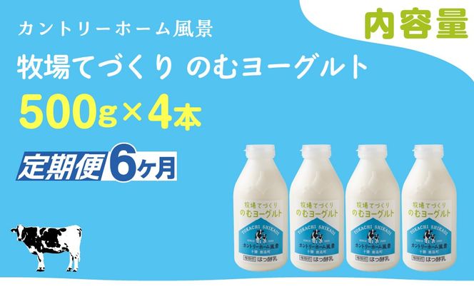 【定期6ヶ月】のむヨーグルト 500g ×4 SKB045