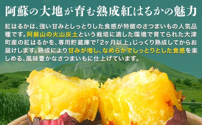 熟成 さつまいも 紅はるか 3kg 5kg S～2L 宇都宮農園《11月上旬-3月末頃出荷》 熊本県 大津町 さつま芋 芋 スイーツ 野菜 おやつ サツマイモ べにはるか---oz_utm_4_3kg---