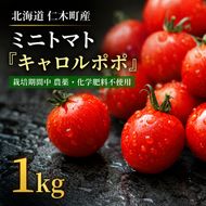 ミニトマト「キャロルポポ」1kg 栽培期間中 農薬・化学肥料不使用 北海道 仁木町 トマト ミニトマト 野菜 [自然農園]