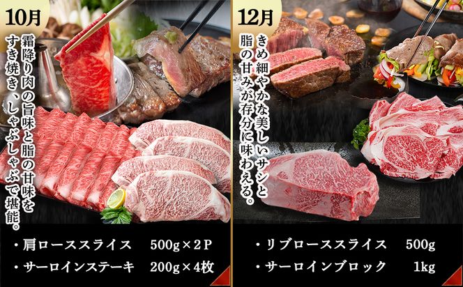 宮崎牛定期便(6回お届け) Eコース_N25-005-T6 宮崎牛 ウデ モモ バラ カルビ リブロース 肩ロース サーロイン スライス 切り落とし ブロック 焼肉 ステーキ