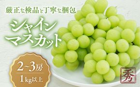 【☆先行予約☆2025年/令和7年発送分】シャインマスカット「こだわり」１kg以上　2～3房　人気　おすすめ　国産　贈答　ギフト　お取り寄せ　山梨県産　産地直送　フルーツ　果物　くだもの　ぶどう　ブドウ　葡萄　シャイン　シャインマスカット　新鮮　CD-1