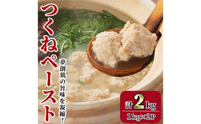 つくねペースト(計2kg)鶏肉 鳥肉 とりにく ペースト 惣菜 弁当 おかず つくね 冷凍【C-31】【株式会社 英楽】