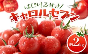 トマト キャロルセブン ミニトマト 2kg GOGO農園 《11月上旬-5月末頃出荷》 和歌山県 日高川町 野菜 とまと サラダ カプレーゼ お弁当 青果物---wshg_gof41_11j5m_26_14000_2kg---