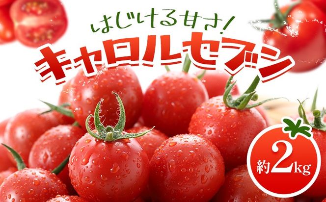 トマト キャロルセブン ミニトマト 2kg GOGO農園 《11月上旬-5月末頃出荷》 和歌山県 日高川町 野菜 とまと サラダ カプレーゼ お弁当 青果物---wshg_gof41_11j5m_26_14000_2kg---