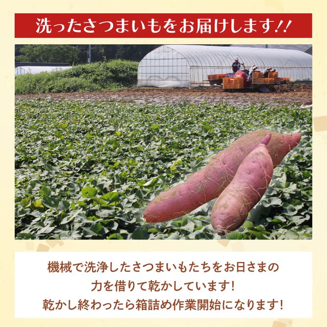 茨城県産 紅はるか 訳あり サイズミックス　約10kg｜訳あり わけあり 訳アリ さつまいも サツマイモ さつま芋 紅はるか べにはるか 芋 いも 茨城県産 行方市(FU-4)
