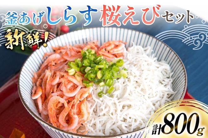 yÉgczy_{򌣕iIz g炷 500g g 300g [ێOY É gc 22424486] VX 炷 gVX Gr TNGr CV x͘p