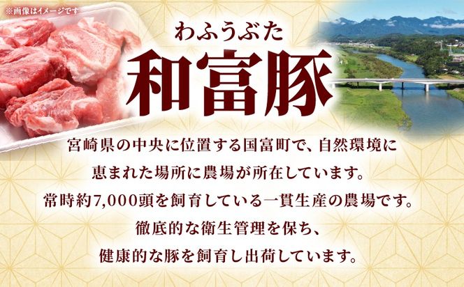 和富豚 ヒレ・スペアリブセット_b0302_em
