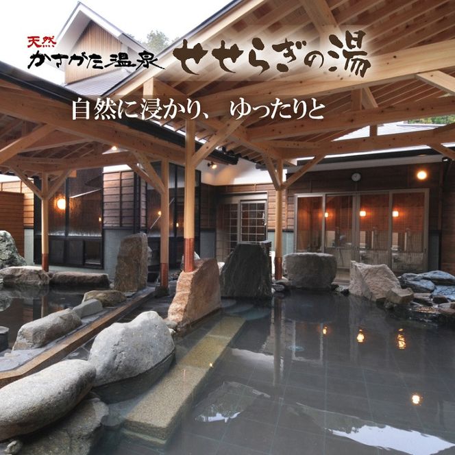 024DA01N.温泉入湯券「天然かさがた温泉せせらぎの湯」11枚綴り