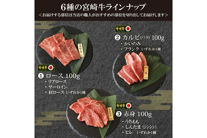 宮崎牛！特選！食べ比べ焼肉6種盛り(合計600g)国産 宮崎県産 牛肉 お肉 ロース カルビ 赤身 特選赤身 霜降り 中落ちカルビ 冷凍【AP-14】【日向屋】