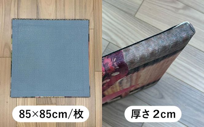 あーと畳1枚 あいさいちゃん 畳 たたみ いぐさ 愛西市 / 有限会社なかしま[AEDC001]