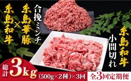 [全3回定期便]糸島和牛 小間切れ 500g & 糸島和牛 糸島豚 合挽ミンチ 500g 合計1kg[糸島][糸島ミートデリ工房] [ACA237] 博多 和牛 牛肉 国産 メンチカツ コロッケ 牛丼 肉じゃが