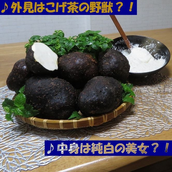 【芋家なか吉】スペシャル丹波山の芋☆二刀流☆セット (11月収穫プレミアム特選品つくね芋)｜京都 人気 やまいも［ 京都 山の芋専門店 職人 とろろ 芋 いも イモ 野菜 3kg 人気 おすすめ お取り寄せ 通販 送料無料 ふるさと納税 ］ 261009_B-SG09